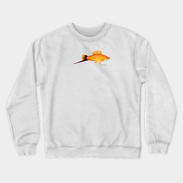 Swordtail Fish Crewneck Sweatshirt by julianamotzko